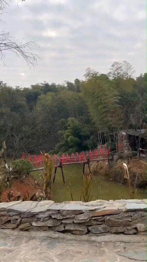 花溪新闻爆料最新,揭秘当地最新热点事件  第2张